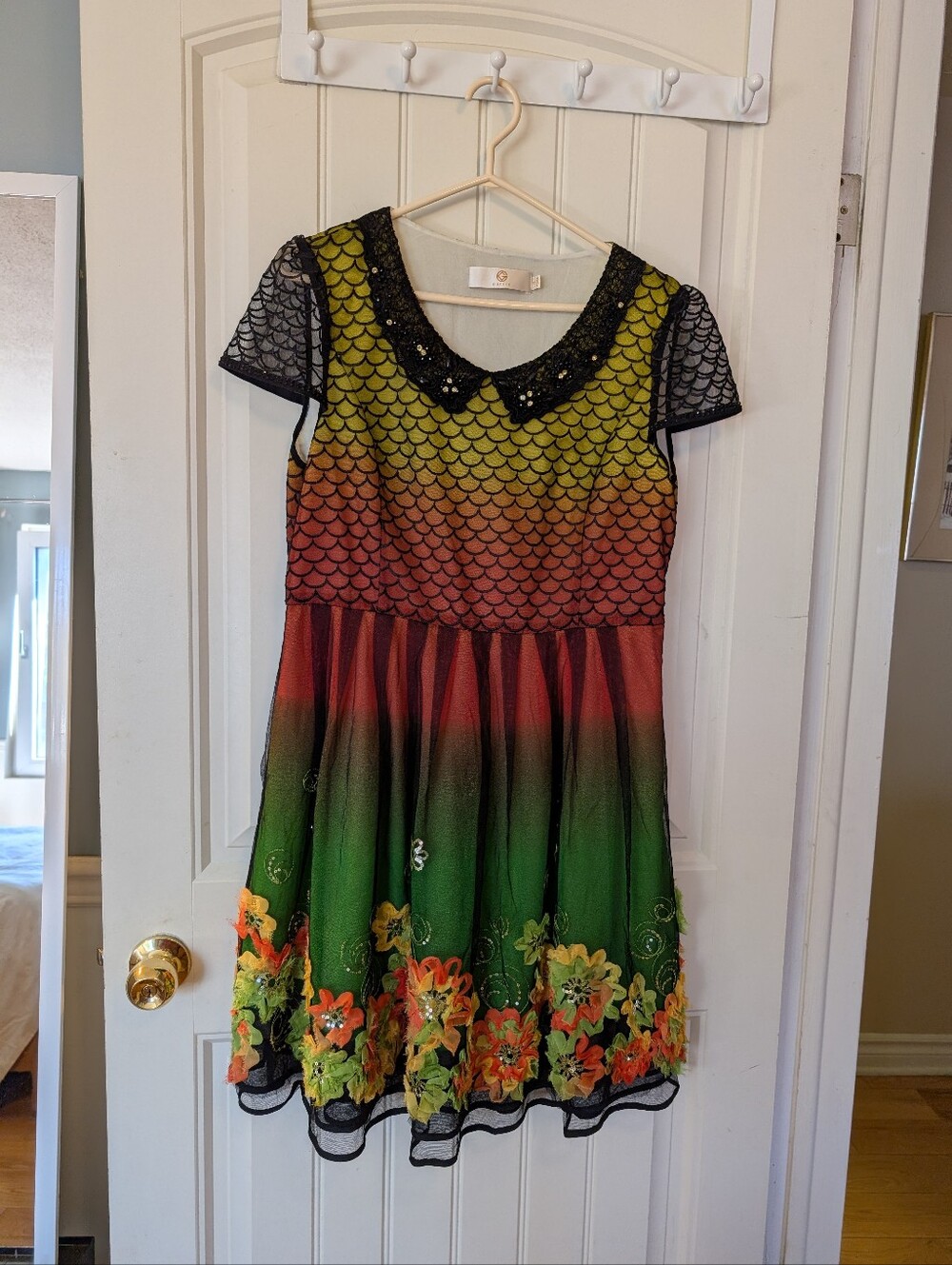 Ombré Floral Mesh Casual Dress with Sequin Collar